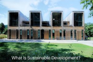 What Is Sustainable Development